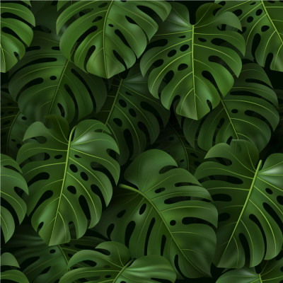 Papel de Parede Folhas 3D de Costela de Adão 